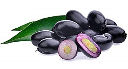 Java plum